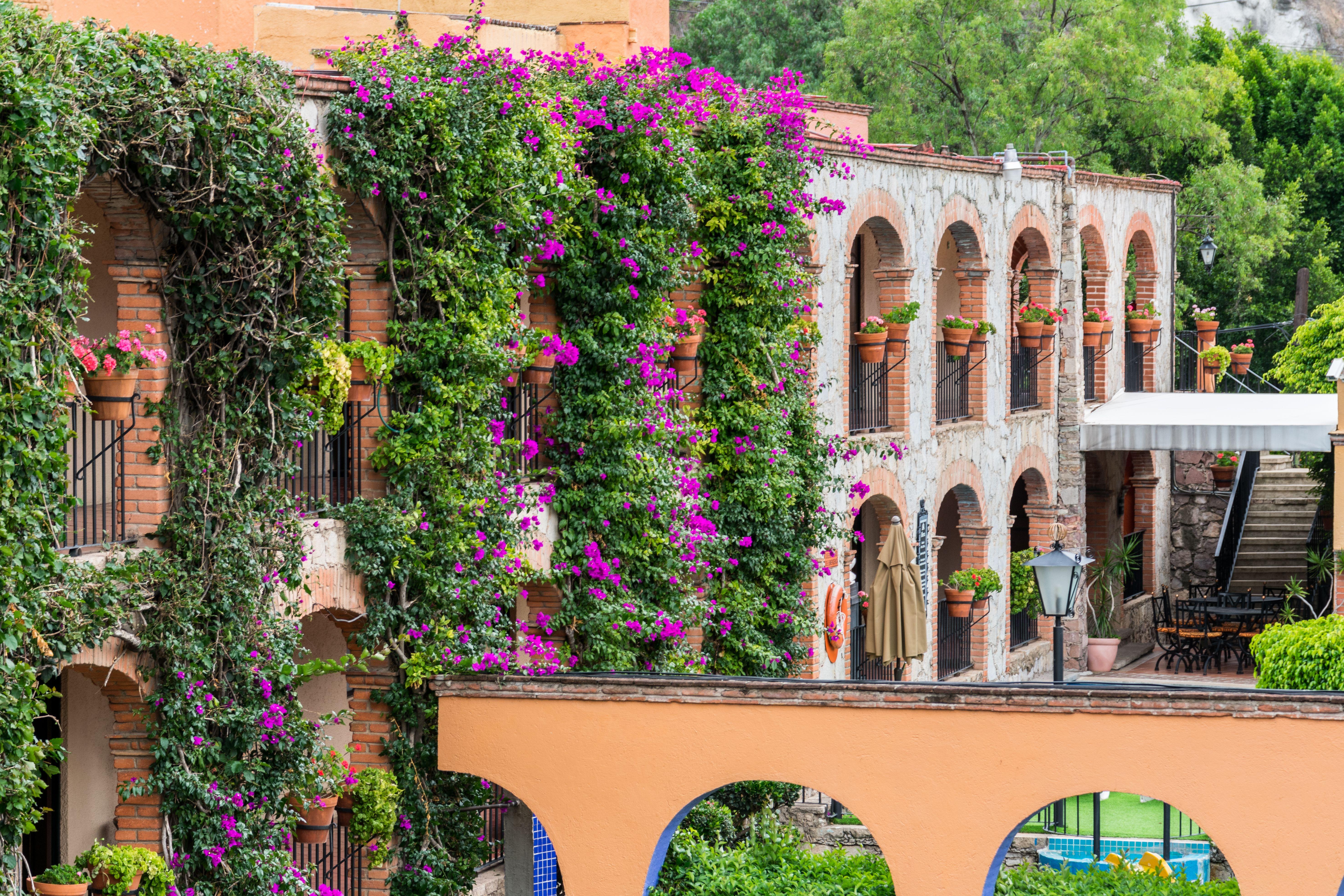 Hotel Abadia Plaza Guanajuato Exterior photo