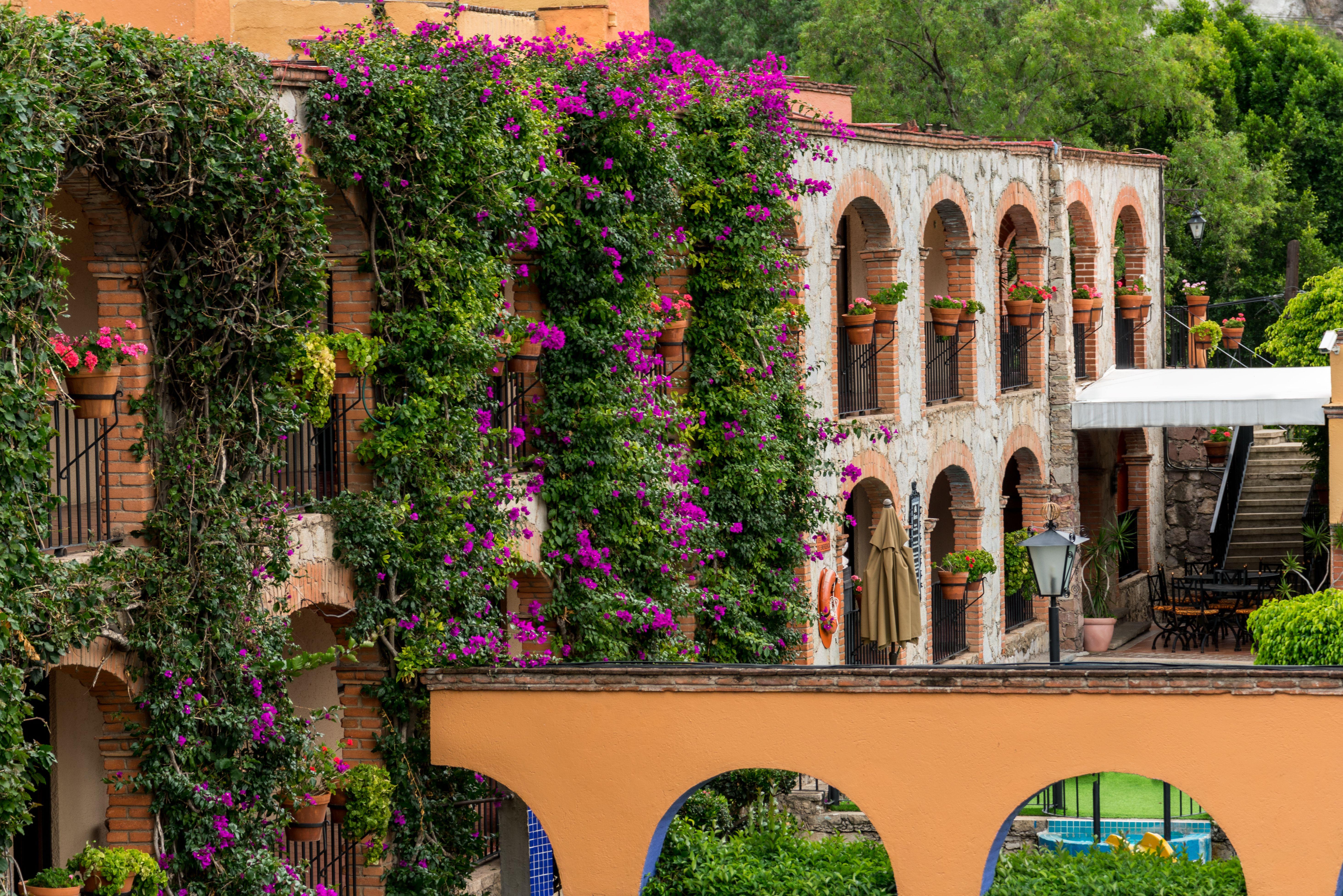 Hotel Abadia Plaza Guanajuato Exterior photo